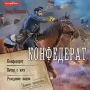 Постер книги Конфедерат. Ветер с юга. Рождение нации