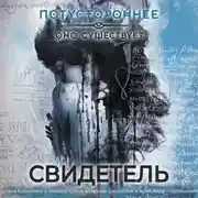 Постер книги Свидетель