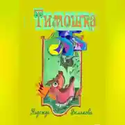 Постер книги Тимошка