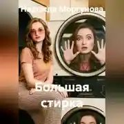 Постер книги Большая стирка