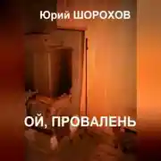 Постер книги Ой, провалень!
