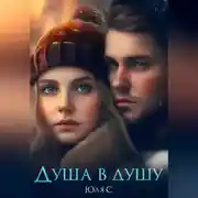 Постер книги Душа в душу