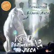 Постер книги Карта Волшебного леса