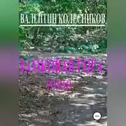Постер книги Замковая гора