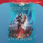 Постер книги Особое положение