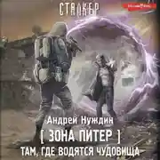 Постер книги Зона Питер. Там, где водятся чудовища