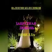 Постер книги Запретная любовь. Новелла