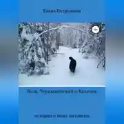 Постер книги Воля, Чернышевский и Калачик