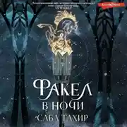 Постер книги Факел в ночи