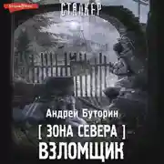 Постер книги Зона Севера. Взломщик