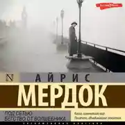 Постер книги Под сетью. Бегство от волшебника