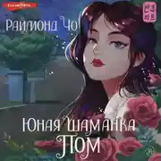 Постер книги Юная шаманка Пом