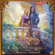 Постер книги Академия Равновесия. Охота на феникса