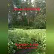 Постер книги Бывает и так