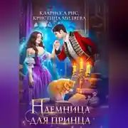 Постер книги Наемница для принца
