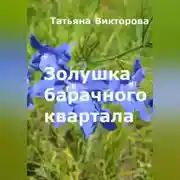 Постер книги Золушка барачного квартала