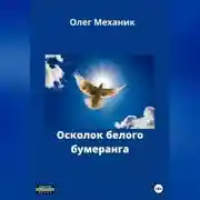 Постер книги Осколок белого бумеранга