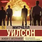 Постер книги Живи с молнией