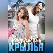 Постер книги Расправить крылья