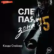 Постер книги Слепая зона