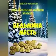 Постер книги Рождественские истории Залесья. Ведьмина месть