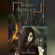 Постер книги Время выбирать