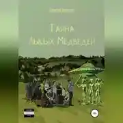 Постер книги Тайна Лысых Медведей