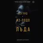 Постер книги Взгляд из-подо льда