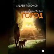 Постер книги Солнечный город