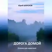 Постер книги Дорога домой