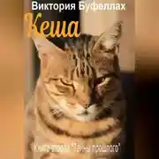 Постер книги Кеша. Книга вторая «Тайны прошлого»
