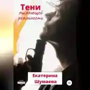 Постер книги Тени пылающей реальности