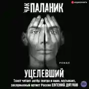 Постер книги Уцелевший