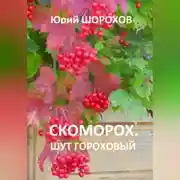 Постер книги Скоморох. Шут гороховый