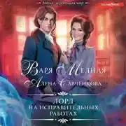Постер книги Лорд на исправительных работах