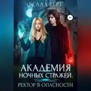 Постер книги Академия Ночных Стражей. Ректор в опасности!