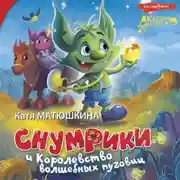 Постер книги Снумрики и Королевство волшебных пуговиц. Волшебная пуговица. Другая сторона пуговицы