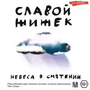 Постер книги Небеса в смятении