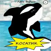 Постер книги Косатик