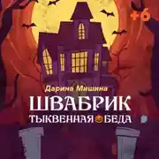 Постер книги Швабрик. Тыквенная беда