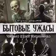 Постер книги Бытовые ужасы