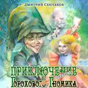 Постер книги Приключение Горохового Гномика