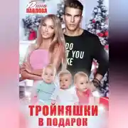 Постер книги Тройняшки в подарок