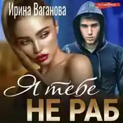 Постер книги Я тебе не раб