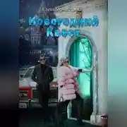 Постер книги Новогодний квест