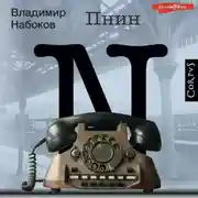 Постер книги Пнин