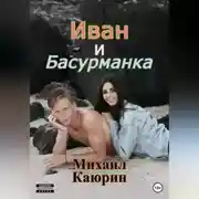 Постер книги Иван и Басурманка