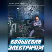 Постер книги Кольцевая электричка