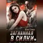 Постер книги Загнанная в силки