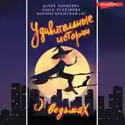 Постер книги Удивительные истории о ведьмах
